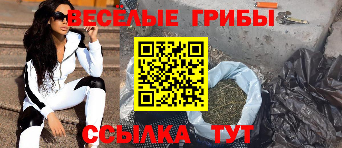 Галлюциногенные грибы Cubensis Ступино