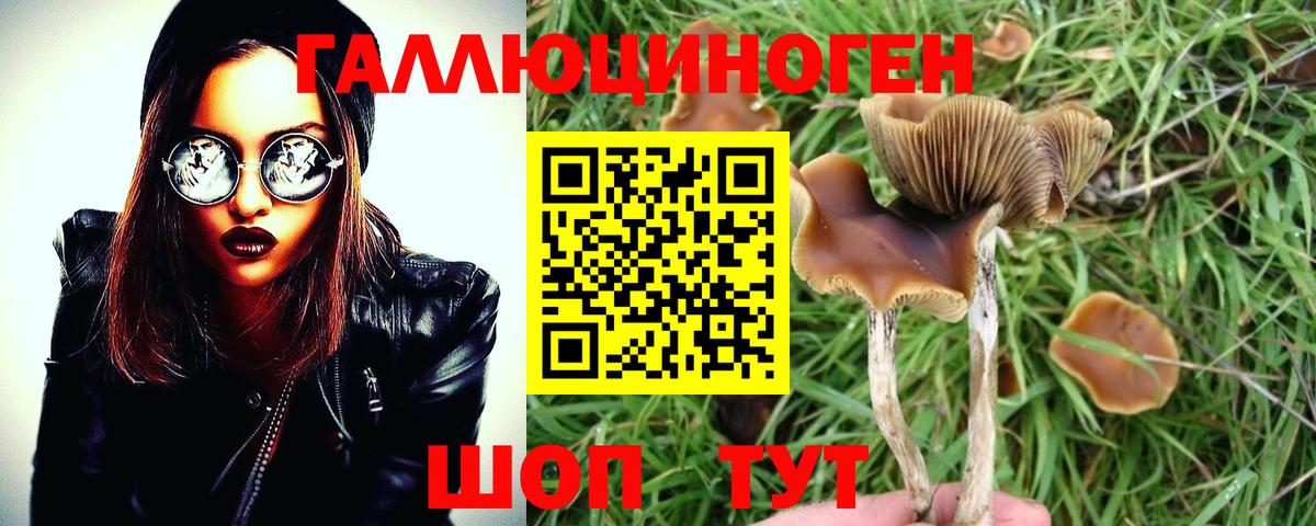 хочу   Вход с VPN  Ступино  Галлюциногенные грибы GOLDEN TEACHER 